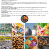 Vacuum Freeze Dryer