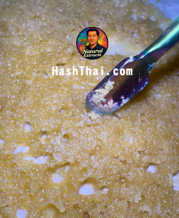 🍋Golden Lush WAX