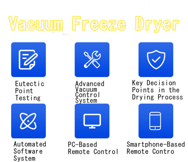 Vacuum Freeze Dryer