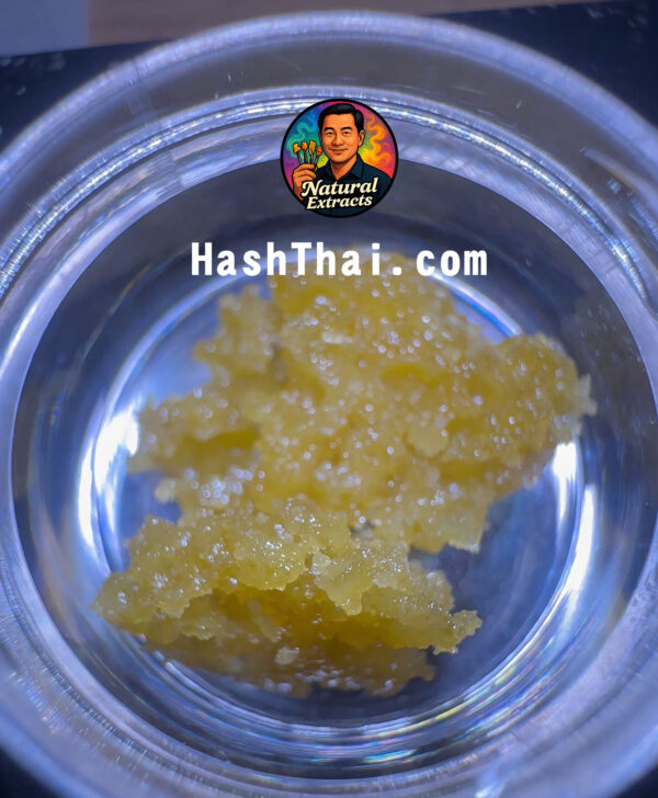 🍋Golden Lush WAX