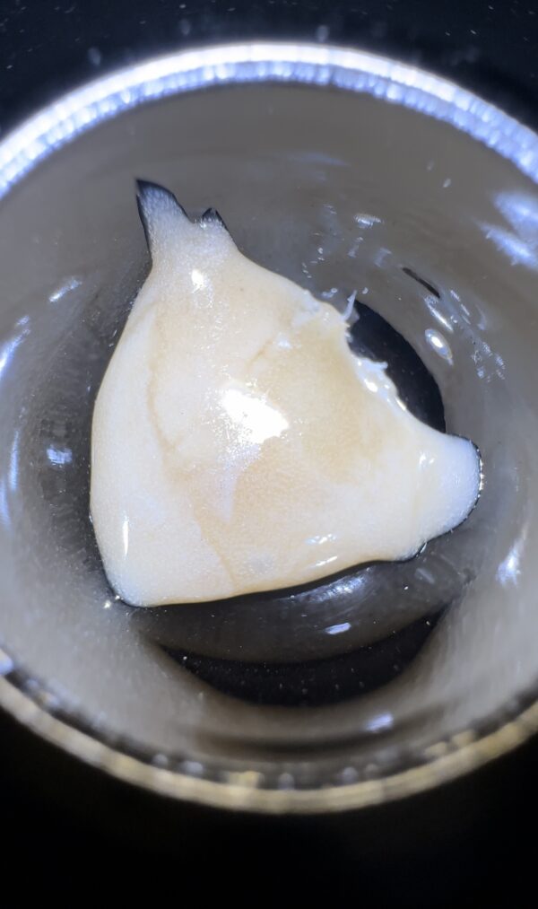 🥭Mango Mints #11 Live Rosin
