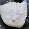 🥭Mango Mints #11 Live Rosin