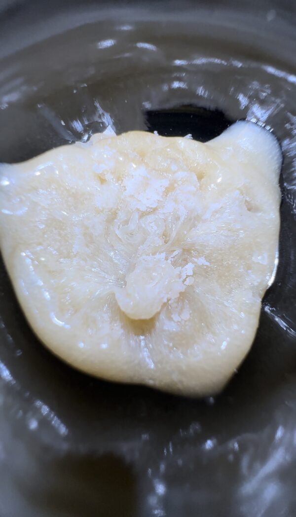 🥭Mango Mints #11 Live Rosin