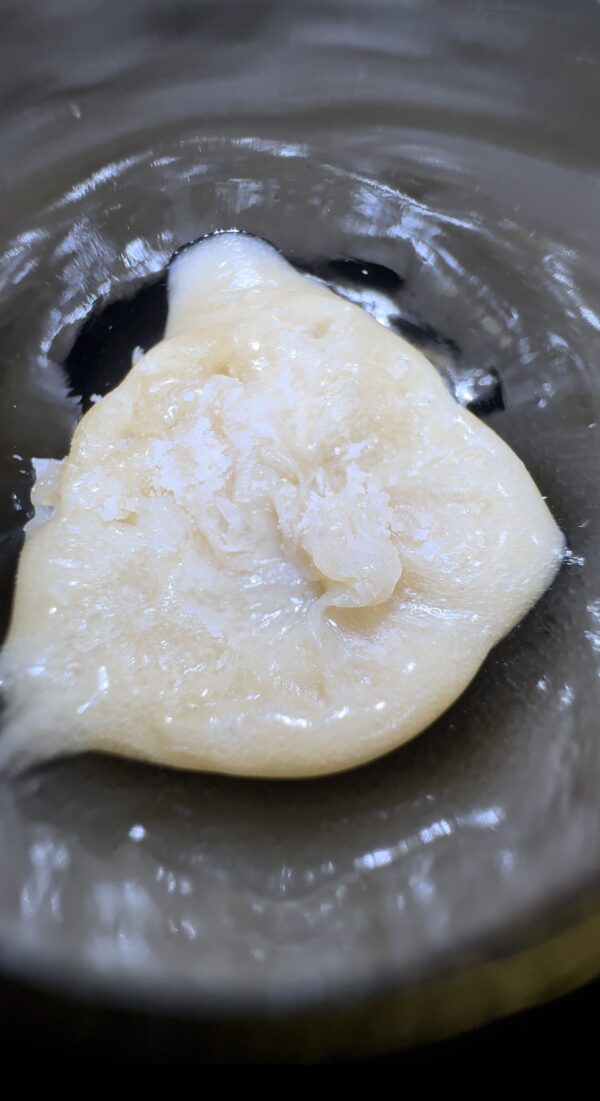 🥭Mango Mints #11 Live Rosin