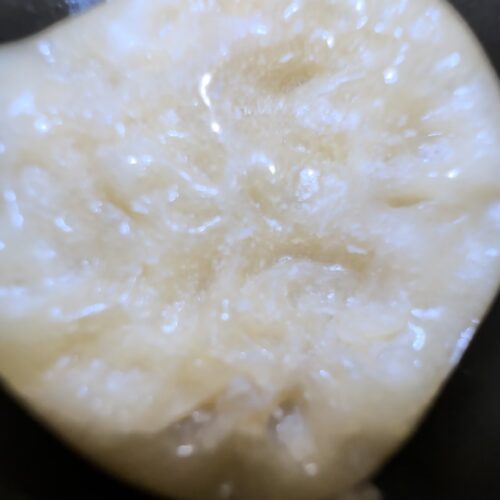 🌼 Snow Lotus Dream Live Rosin