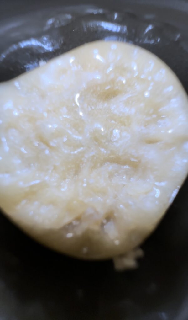🌼 Snow Lotus Dream Live Rosin
