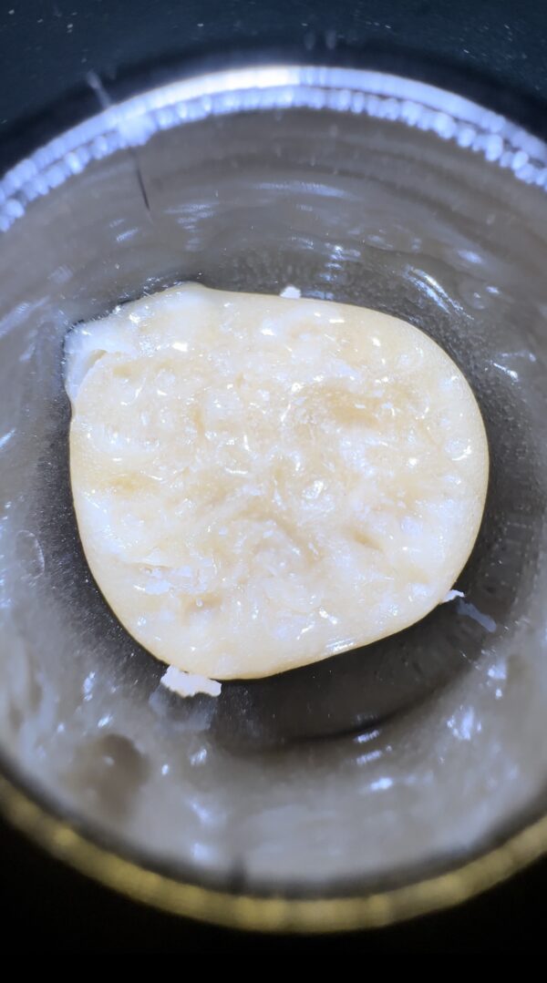 🌼 Snow Lotus Dream Live Rosin
