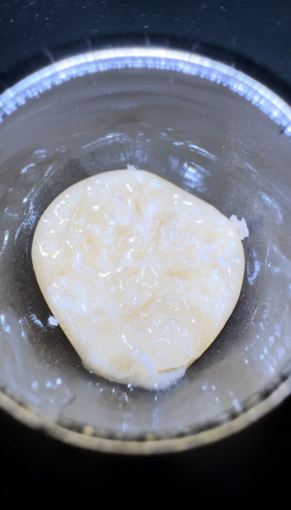 🌼 Snow Lotus Dream Live Rosin