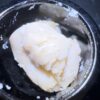🍓Ruby Milk Live Rosin