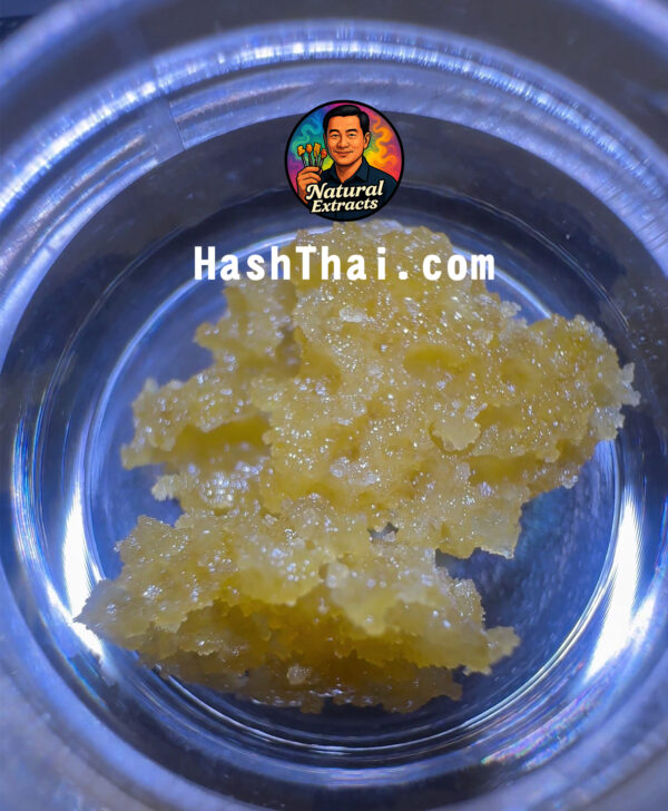 🍋Golden Lush WAX