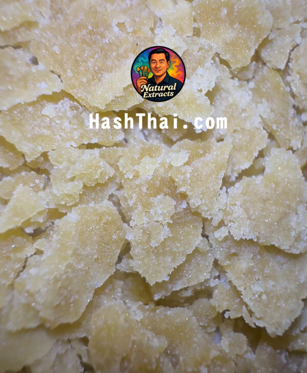 🍋Golden Lush CRUMBLE