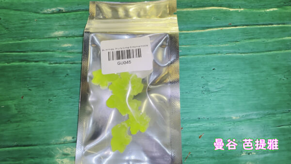 小软糖-酸橙味 20mg/粒/5粒