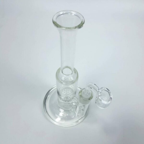 Empty Seriescientist 迷你款附石英Banger煙碗 高度23厘米