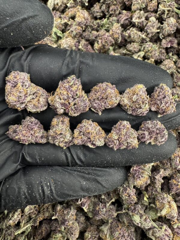 Tropicana Cherry（熱帶櫻桃）-泰國曼谷大麻現貨