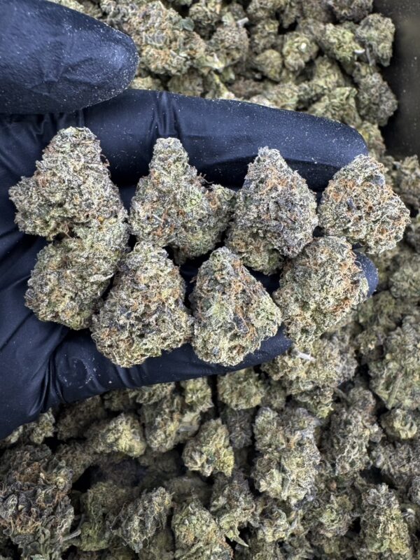 Jealousy（嫉妒） -泰國曼谷大麻現貨