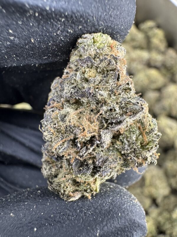 Jealousy（嫉妒） -泰國曼谷大麻現貨