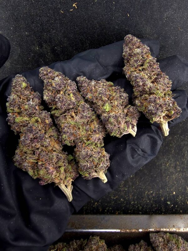 Pink Rozay（粉紅羅賽）-泰國曼谷大麻現貨