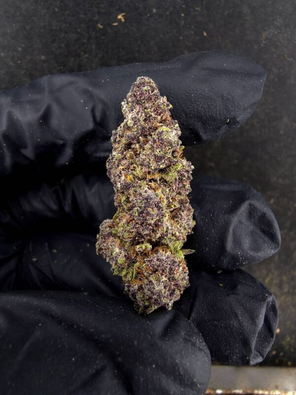 Pink Rozay（粉紅羅賽）-泰國曼谷大麻現貨