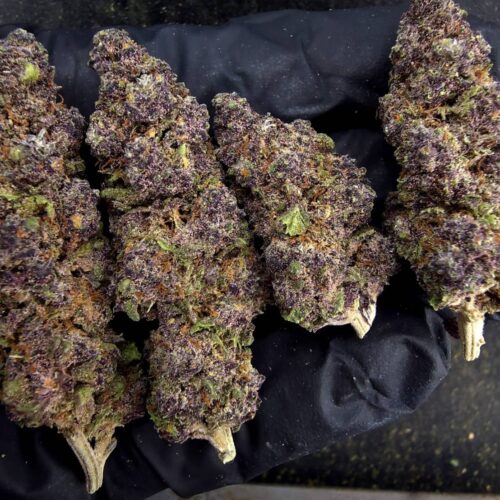 Pink Rozay（粉紅羅賽）-泰國曼谷大麻現貨