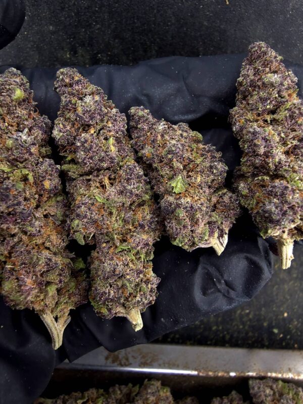 Pink Rozay（粉紅羅賽）-泰國曼谷大麻現貨