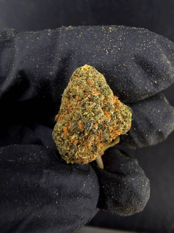 IMG_3460 Blackberry(黑莓) -泰國曼谷大麻現貨