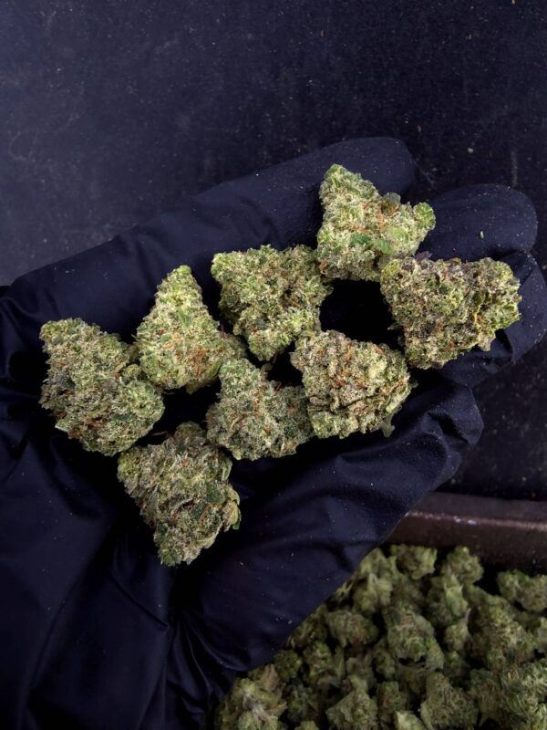 Citradelic Sunset（柑橘日落） -泰國曼谷大麻現貨