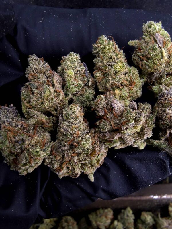 Mandarin Sunset（橘日餘暉） -泰國曼谷大麻現貨