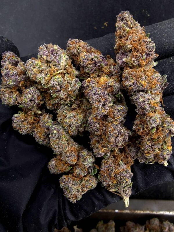 Purple Legend 紫色傳奇 -泰國曼谷大麻現貨