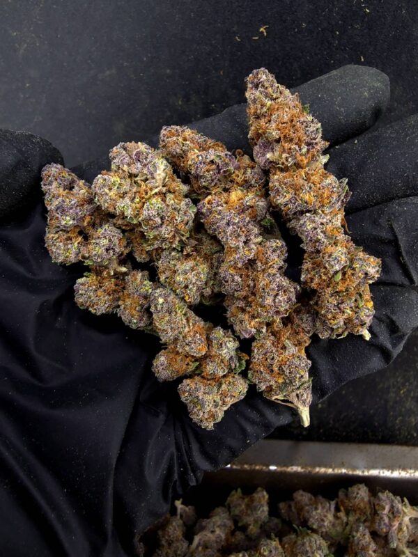 Purple Legend 紫色傳奇 -泰國曼谷大麻現貨