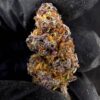 Purple Legend 紫色傳奇 -泰國曼谷大麻現貨