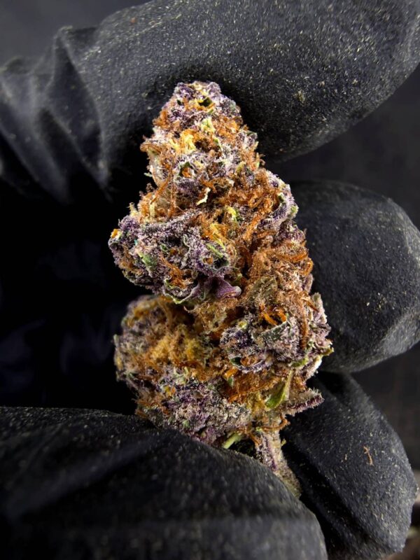 Purple Legend 紫色傳奇 -泰國曼谷大麻現貨