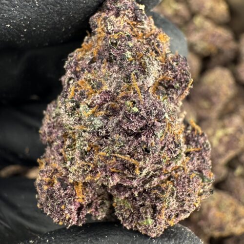 Blackout Cherries（黑櫻爆橙）-泰國曼谷大麻現貨