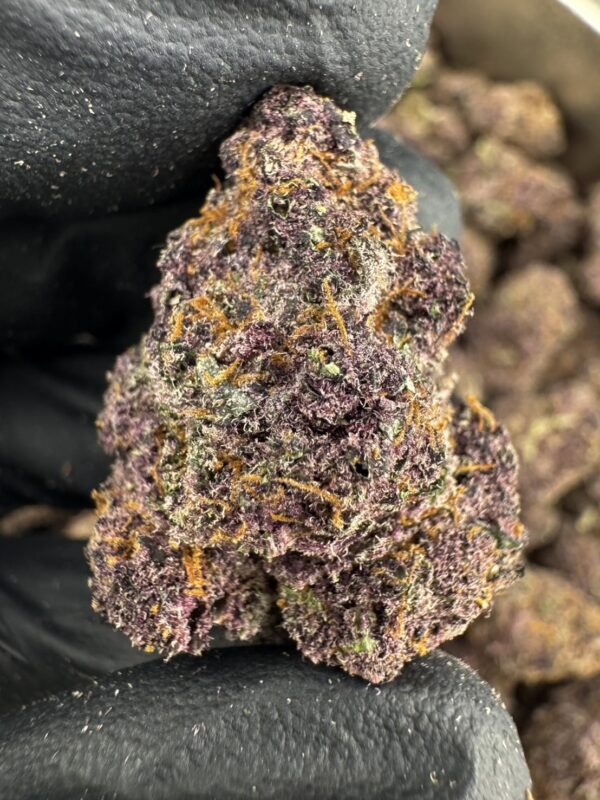 Blackout Cherries（黑櫻爆橙）-泰國曼谷大麻現貨