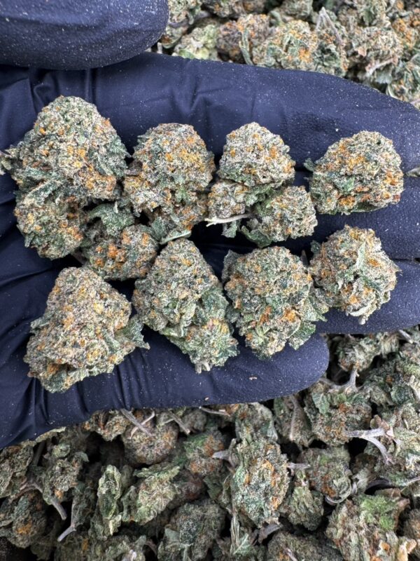 White Runtz 白润兹 -泰國曼谷大麻現貨