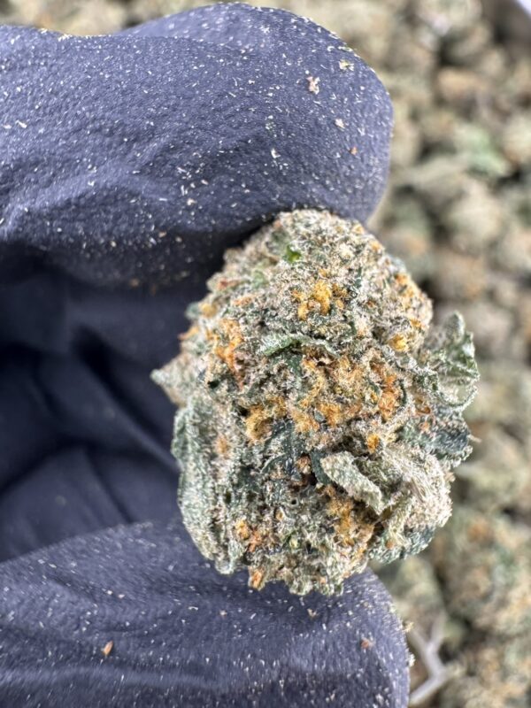 White Runtz 白润兹 -泰國曼谷大麻現貨