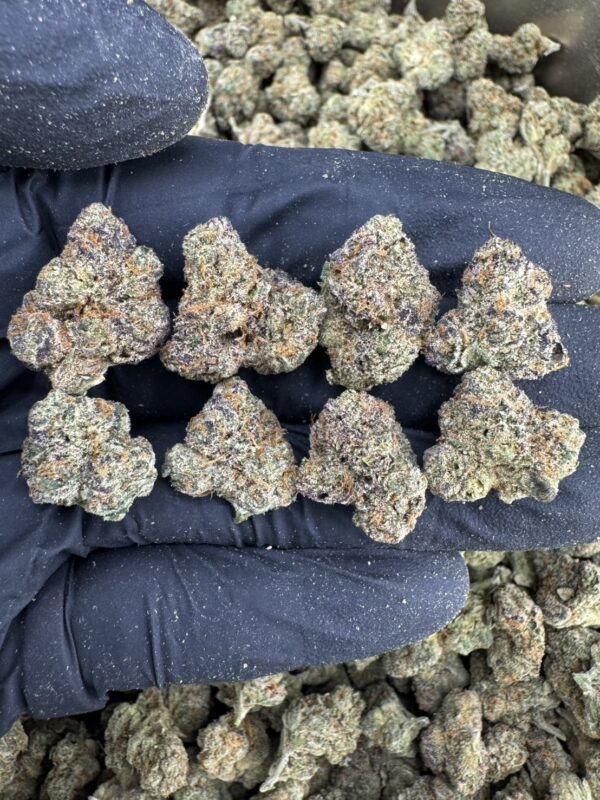 Falcon Frozen（猎鹰冰冻） -泰國曼谷大麻現貨