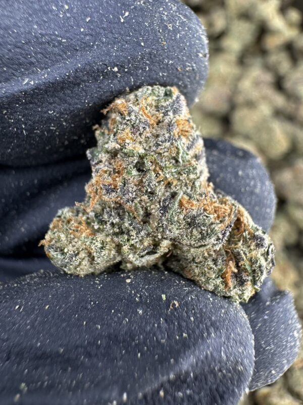 Falcon Frozen（猎鹰冰冻） -泰國曼谷大麻現貨