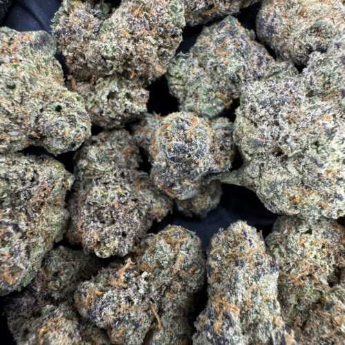 Falcon Frozen（猎鹰冰冻） -泰國曼谷大麻現貨