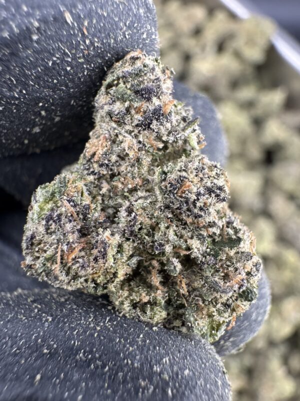 IMG_3772 Candy Pave(糖果柏油) -泰國曼谷大麻現貨