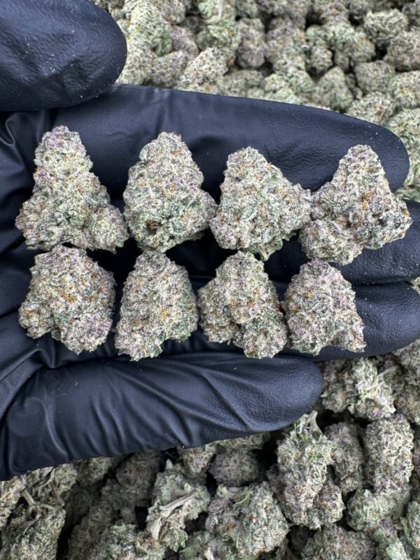 Devil Cherry（恶魔樱桃） -泰國曼谷大麻現貨