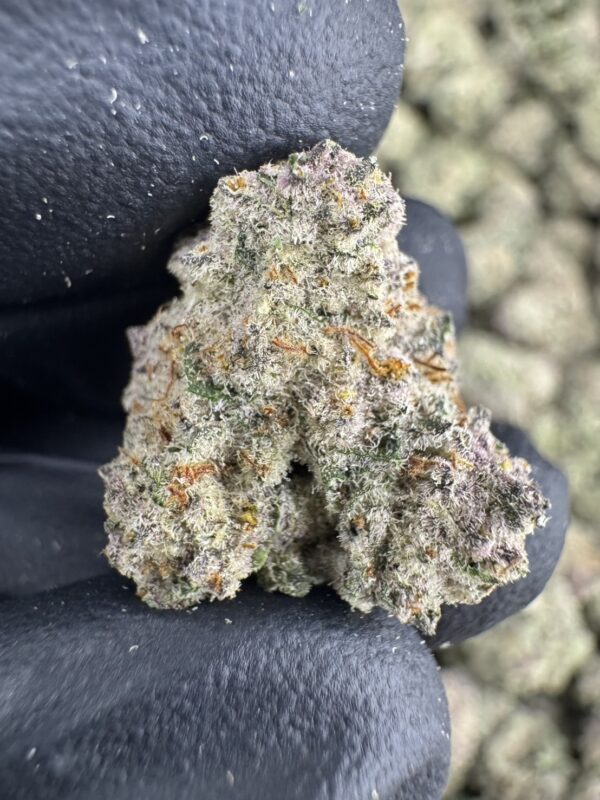 Devil Cherry（恶魔樱桃） -泰國曼谷大麻現貨