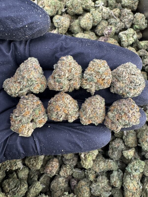 Tiramisu（提拉米苏） -泰國曼谷大麻現貨