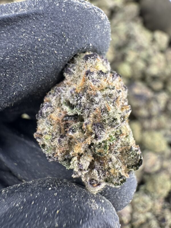 🍏 Compound Z（复合Z） -泰國曼谷大麻現貨