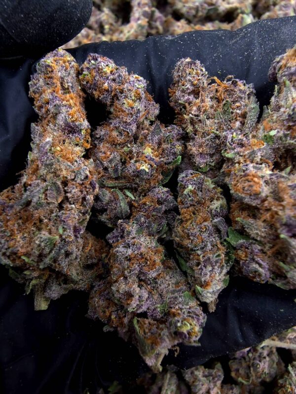 Tropicanna Cherry 热带樱桃 -泰國曼谷大麻現貨