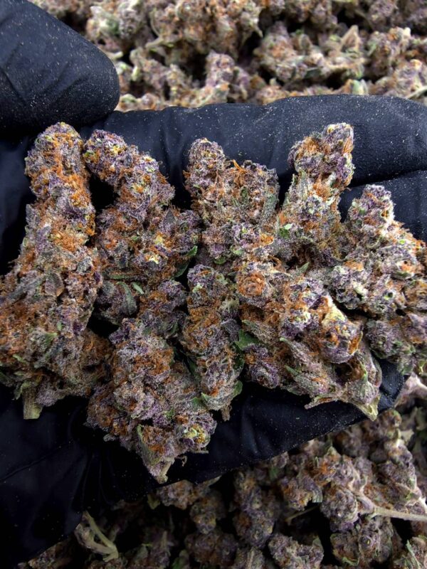 Tropicanna Cherry 热带樱桃 -泰國曼谷大麻現貨