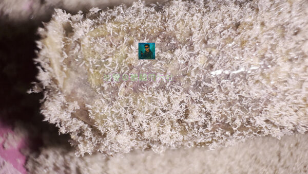 13 手卷三 - 大麻手卷,並添加HASH,表面包裹松香hash