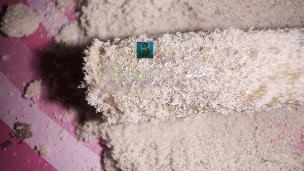 14 手卷三 - 大麻手卷,並添加HASH,表面包裹松香hash