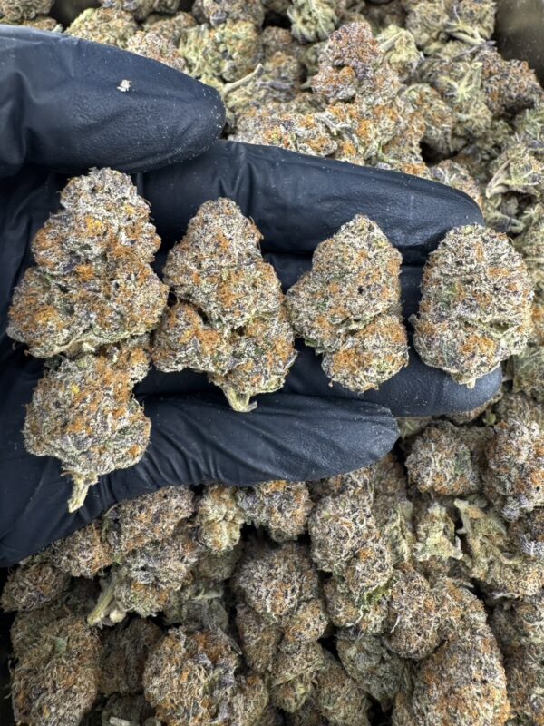 Runtz Layel Cake - 泰國曼谷大麻11月