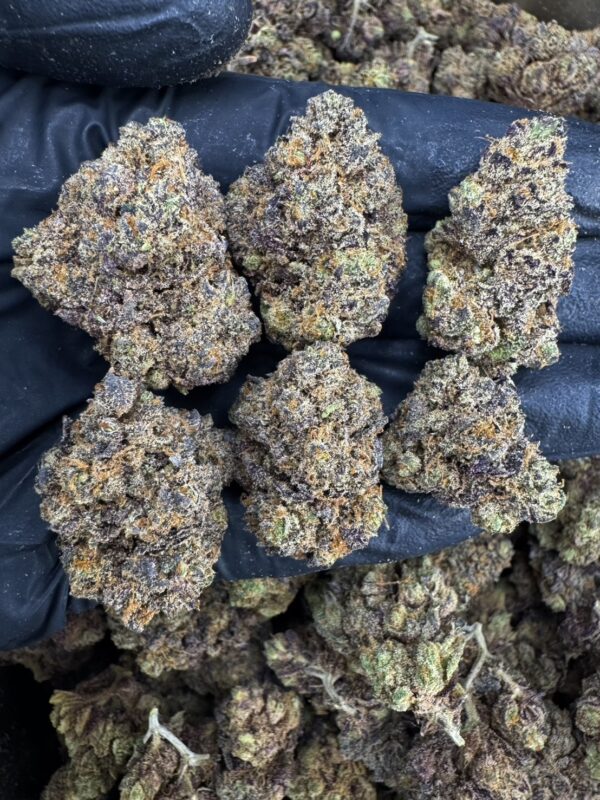 S__20316191 Gary Poppins - 泰國曼谷大麻11月