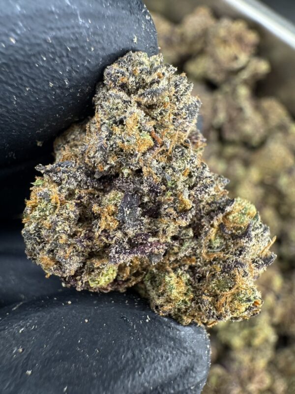 S__20316193 Gary Poppins - 泰國曼谷大麻11月